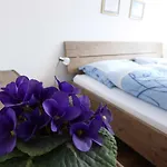 Haus Viktoria A דירה צרמט