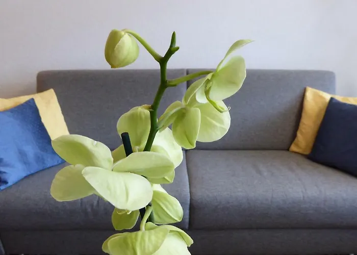 Haus Viktoria A Apartmán *