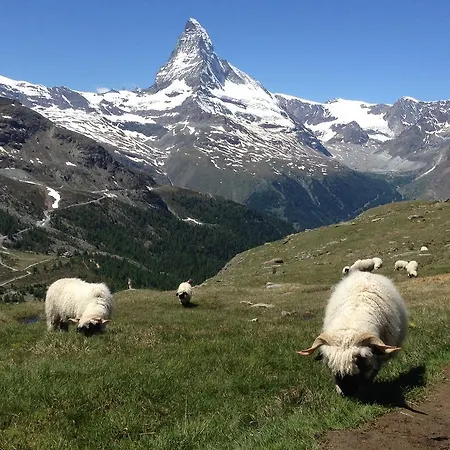 Haus Viktoria A Zermatt