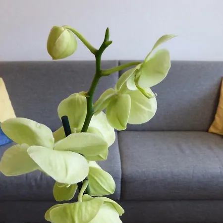 Haus Viktoria A Апартаменти *